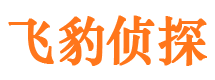 梁园市侦探公司